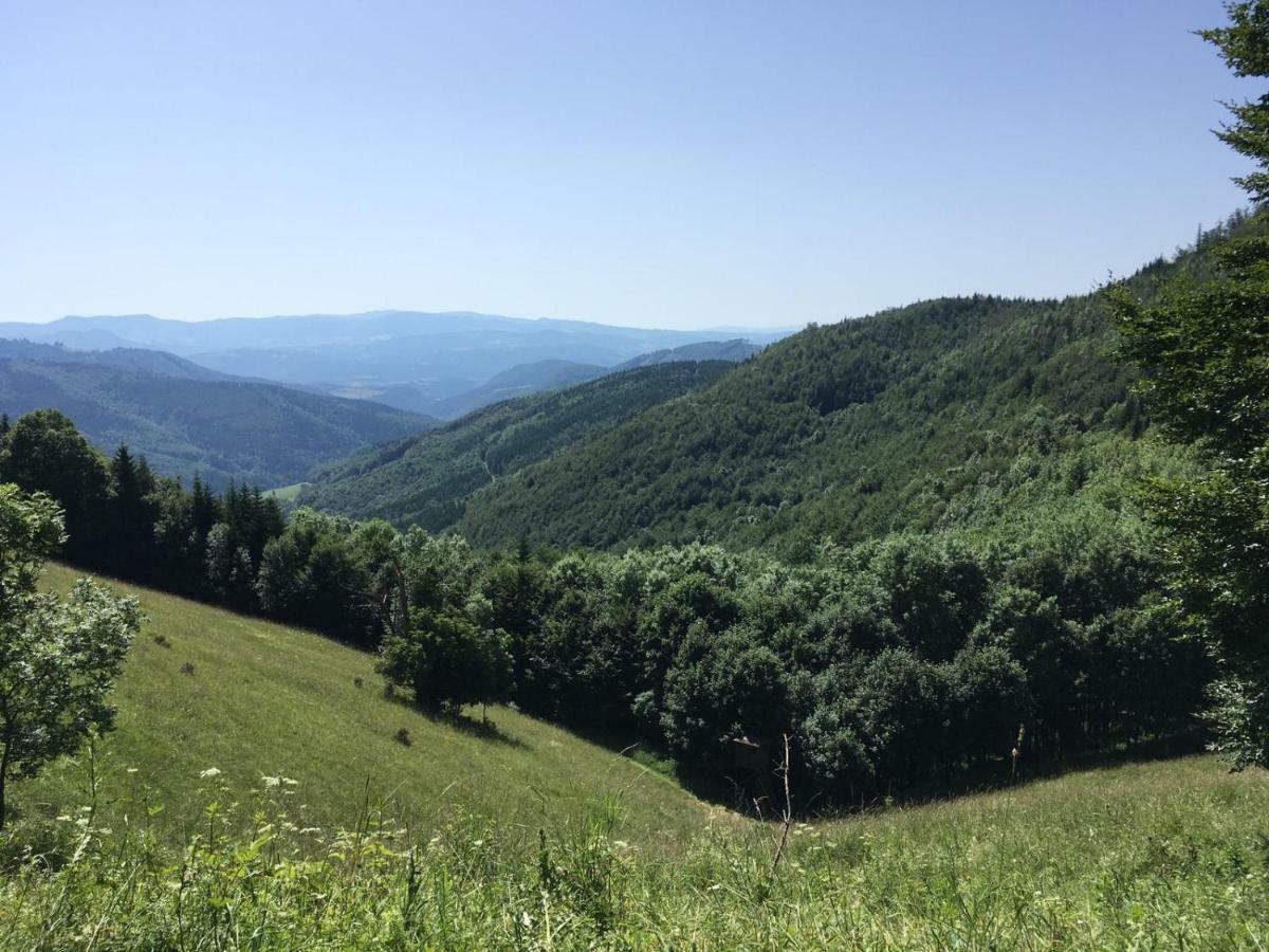 Apartmanovy Dom Spiezovec - Ap. 4 Dóval Kültér fotó